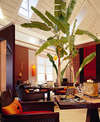 Banyan Tree Deluxe 